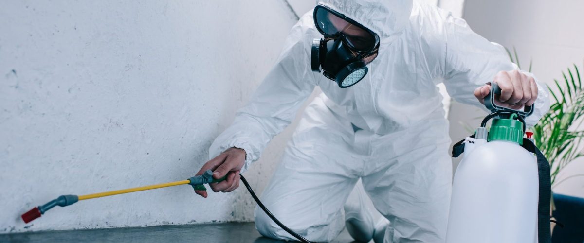 What-do-I-need-to-do-before-pest-control-comes-2048x1024